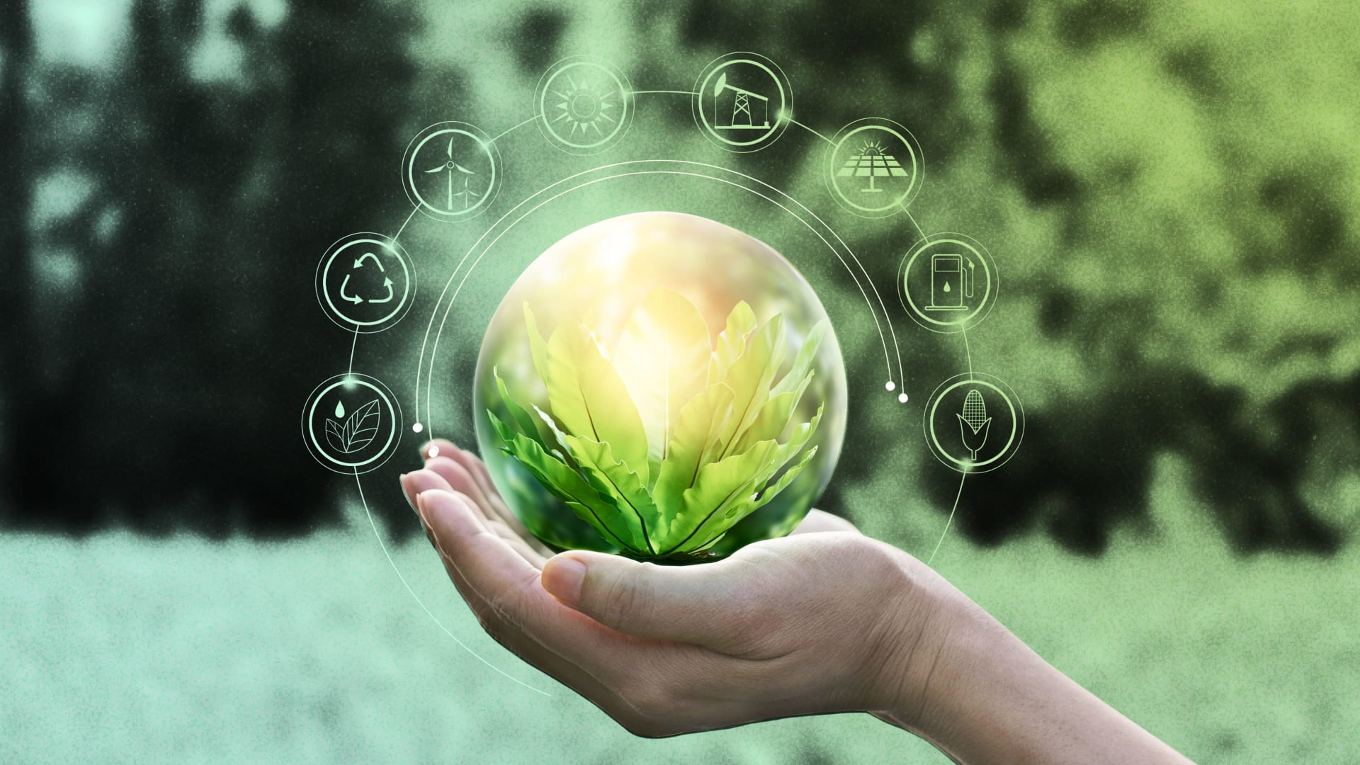 Sustainability Marketing
